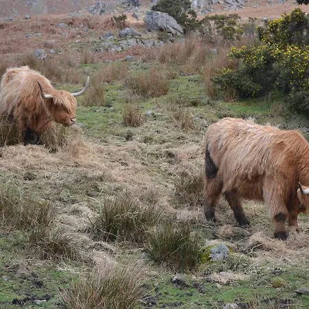 Brendan Chase Windermere