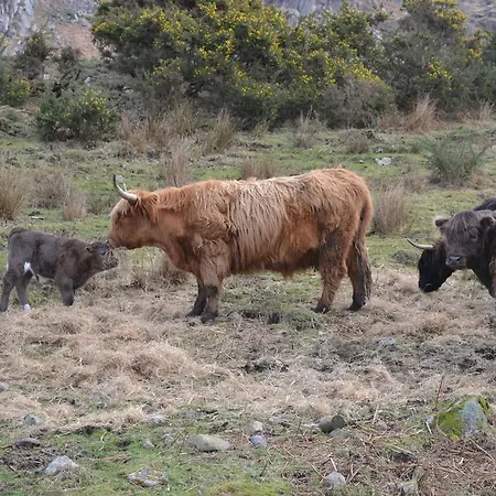 Brendan Chase Bed & Breakfast