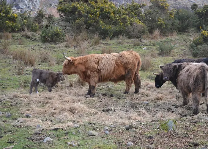 Brendan Chase Bed & Breakfast