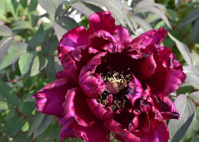 Bed & Breakfast Brendan Chase Windermere