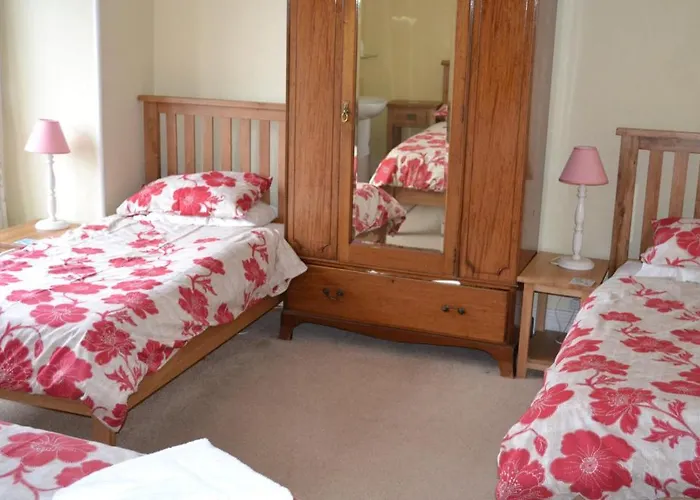 بريندان تشيس 3* ويندرمير