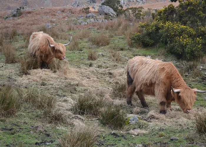 Brendan Chase Windermere